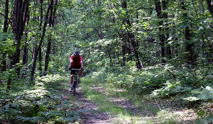 Two Mile Run County Park Photos